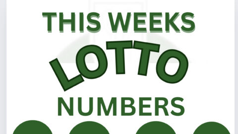 Lotto results