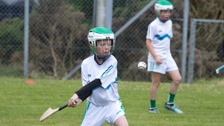 ACADEMY HURLING